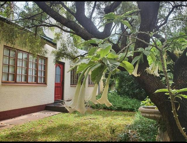 3 BEDROOM PROPERTY TO RENT IN BROOKLYN